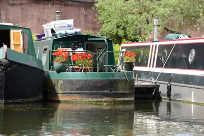 DSC_2754 (Large).JPG